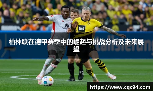 LD乐动官网